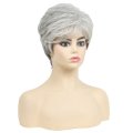 Chemical Fiber Women's Fashion Short Hair Gray Gradient Fluffy Wig