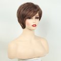 Fashion Women Fluffy oblique bangs short Straight Hair brown Chemical Fiber Wig