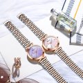 Chenxi new mother-of-pearl quartz ladies watch with solid gold and steel strap